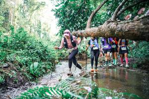 BIB: 
                            <button type="button" onclick="openModal(25478575)" class="btn btn-primary btn-sm float-right btn-popup" data-toggle="modal" data-target=".modal-high-quality">
                        <i class="fas fa-shopping-cart"></i> Add to Cart
                    </button>
                                            <button type="button" onclick="isThisMe(25478575, true)" class="btn btn-success btn-sm float-right btn-popup btn-isme hidden" data-toggle="tooltip" data-placement="bottom" title="นี่คือรูปของคุณใช่ไหม คลิกที่นี่เพื่อเอาเข้าอัลบั้ม">
                        <i class="fas fa-plus"></i> Add to album
                    </button>
                    <button type="button" onclick="isThisMe(25478575, false)" class="btn btn-warning btn-sm float-right btn-popup btn-isnotme hidden">
                        <i class="fas fa-ban"></i> Remove from album
                    </button>